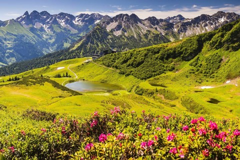 Alpine rose blossom, panorama from the Fellhorn over the Schlappoldsee and mountain station of the