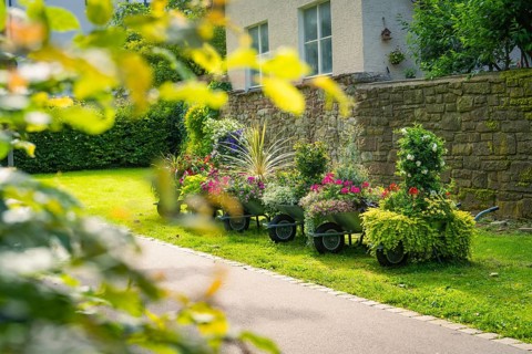 A garden path with wheelbarrows full of flowering plants alongside a stone house, Nagold, Black