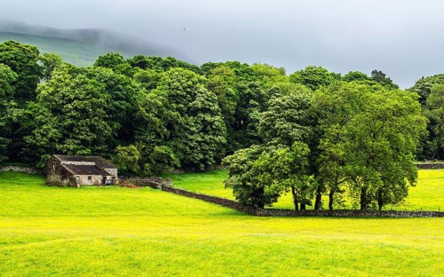 Farms in Yorkshire Dales National Park, North Yorkshire, England, United Kingdom, Europe