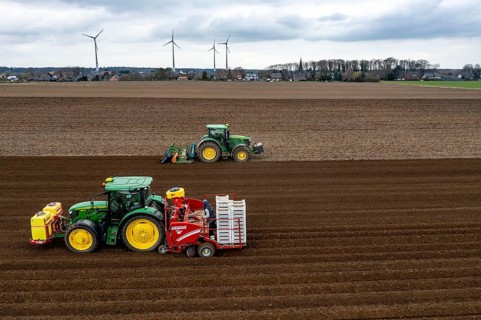Early potatoes are laid in the soil of the field with a planting machine, tractor with roundabout