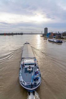 Flood on the Rhine near Duisburg, freighter on the river near Duisburg-Homberg, downstream, heading