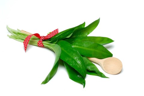 Ramsons (Allium ursinum) leaves, cooking spoon