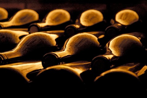 Empty wine bottles, bottles, wine cellar, Beaujolais, France, Europe