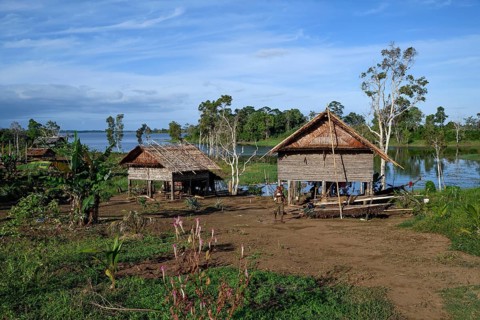 Cottage in village Botokom, Botoa Island, Lake Murray, Western Province, Papua New Guinea, Oceania