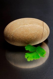 Stacked stones and leaf of lady hair fern