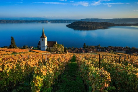 Ligerz on Lake Biel, Bern, Switzerland, Europe