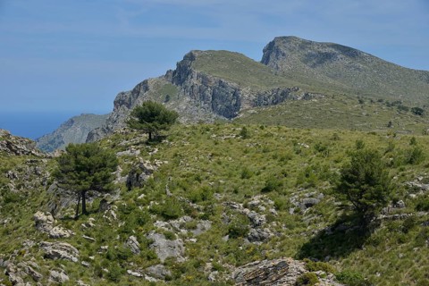 Landscape in the Parc Natural Peninsula de Llevant, near Arta, Majorca, Balearic Islands, Spain,
