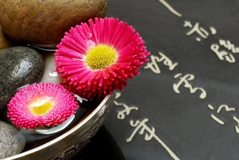 Common daisy (Bellis perennis) flowers and stones in a bowl, japanese characters, thousand bells