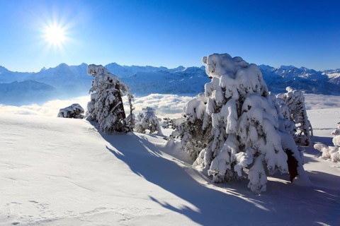 Bernese Alps, View from the Niederhorn, Bernese Oberland, Switzerland, Europe