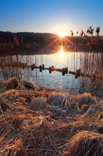 Greifensee, Greifensee nature reserve, Zurich Switzerland