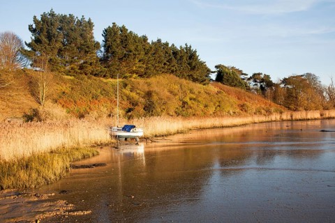Yacht moored amongst reeds on the River Deben, Ramsholt, Suffolk, England, United Kingdom, Europe