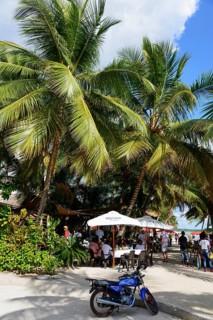 A group of people relaxing in a restaurant under palm trees, beach, Boca Chica, Santo Domingo