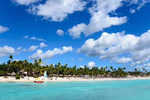 An idyllic beach with clear water under a blue sky, surrounded by palm trees, Palm Beach Dominicus,