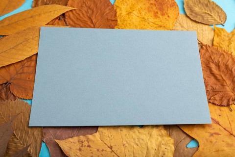 Composition with yellow and brown autumn leaves and blue paper mockup on blue pastel background.