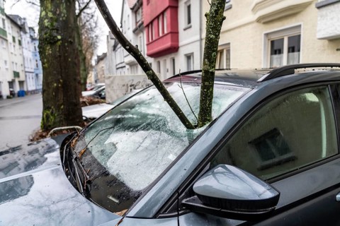 North Rhine-Westphalia, Germany, storm damage, a good 4 metre long branch was broken off by the