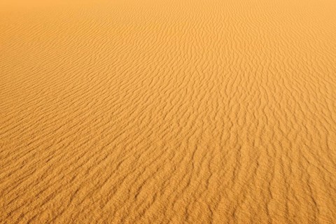 View of a vast desert landscape with undulating sand patterns, sand dunes in a desert under a clear