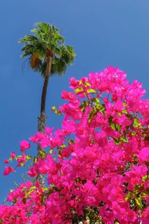 Anfi del Mar, Playa de la Verga, Arguineguin, Gran Canaria, Canary Islands, Spain, Anfi del Mar,