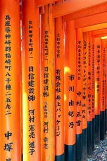 Torii gates, Fushimi Inari-Taisha shrine, Kyoto, Japan, Asia