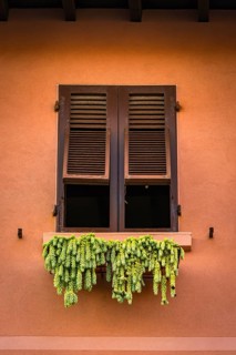 Window with hops for drying, Italy, Europe