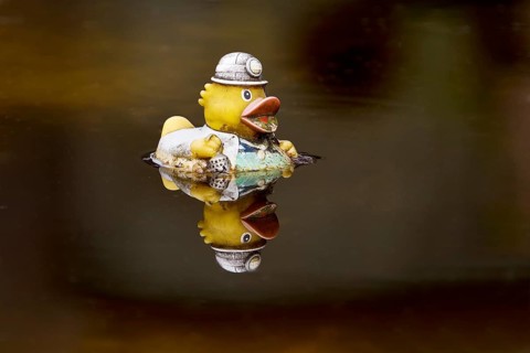 Miner's rubber duck swimming in the sewage basin of the disused Hansa coking plant, Dortmumd, Ruhr