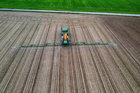 Farmer working a field, crop protection agent being sprayed, field with young sugar beet plants,