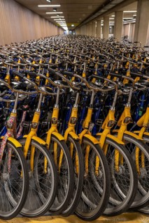Bicycles at the OV-Fiets rental station, at Utrecht Central Station, hundreds of rental bikes