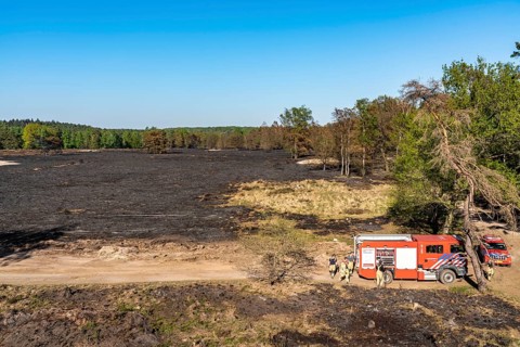 Forest fire in the German-Dutch border region near Niederkrüchten-Elmpt, in a nature reserve,