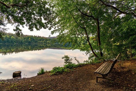 The Möhnesee, reservoir in the northern Sauerland, branch of the Hevesee, Kleine Schmalenau bay,