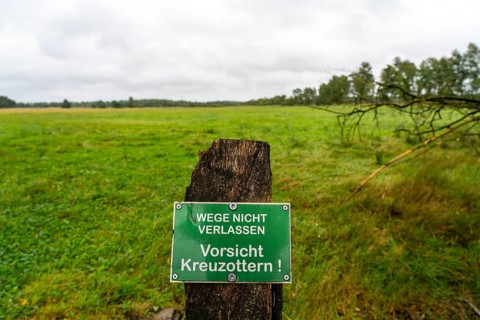 The Pietzmoor, raised bog in the Lüneburg Heath nature reserve, warning of adder snakes, near
