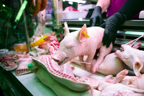 Whole piglet for sale at the Mercado Central, Salamanca, province of Salamanca, Castile and Leon,