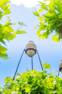 Street lamp surrounded by green leaves and clear blue sky, Böblingen, Germany, Europe
