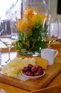 Wine tasting, Oldenburg Wine Estate, Oldenburg Vineyards, Banghoek, Stellenbosch, Western Cape,