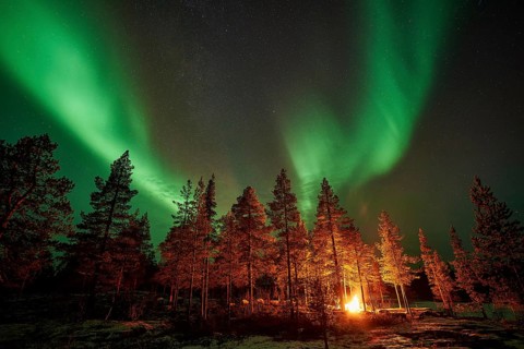 Man in the evening at a bivouac with campfire, Lapland, Sweden, Scandinavia, Europe