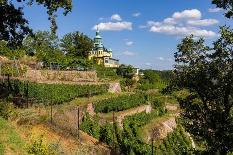 Weingut am Goldenen Wagen. The Spitzhaus is a former summer residence in the Saxon town of Radebeul
