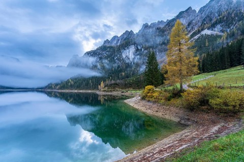The Vordere Gosausee in autumn with a view of the Gosaukamm. Yellow larch. Cloudy sky, cloudy lake.