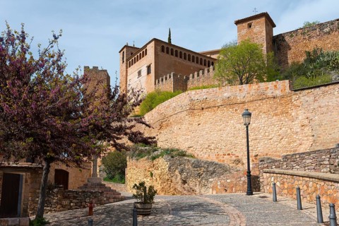 Historic fortress with stone walls and flowering trees along a cobbled path, Collegiate Church,