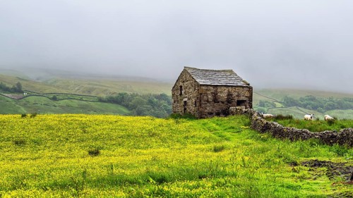 Farms in Yorkshire Dales National Park, North Yorkshire, England, United Kingdom, Europe