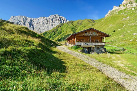 Alpine hut in front of rose garden, Seiser Alm, Dolomites, South Tyrol
