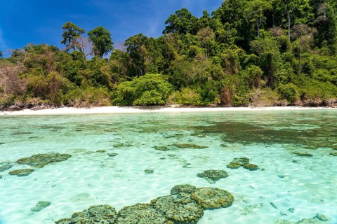 Coral reef on the dream beach of Ao-niang on the island of Koh Kradan in the Andaman Sea, voted the