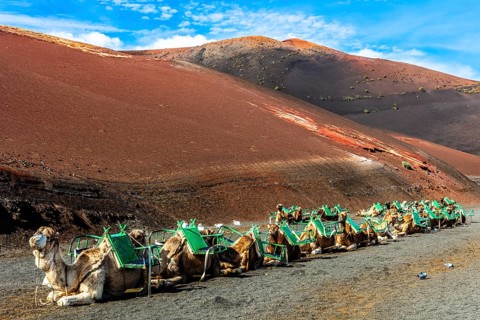 2016, Timanfaya National Park, Lanzarote, Fire Mountains of Timanfaya National Park, Montanas del