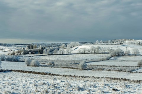 Aubrac plateau in winter. Lozere departement. Occitanie. France