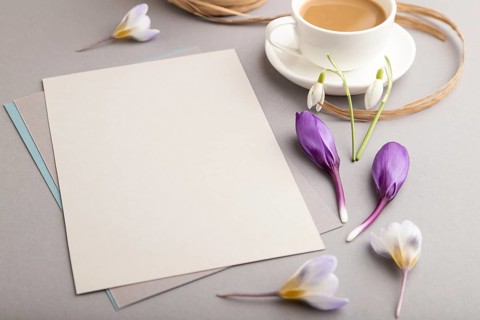 Gray paper sheet mockup with spring snowdrop crocus and galanthus flowers and cup of coffee on gray