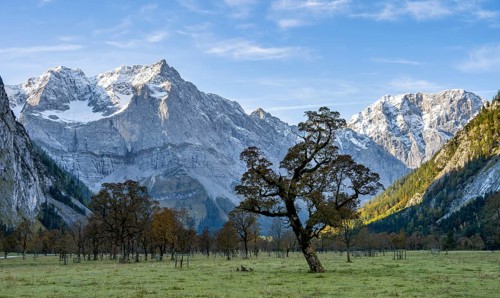 Maple trees with autumn leaves, autumn landscape in Rißtal with Spritzkarspitze, Großer Ahornboden,