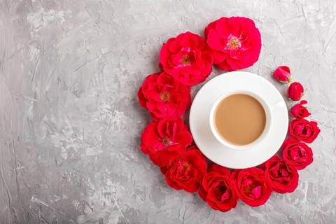 Red rose flowers in a spiral and a cup of coffee on a gray concrete background. Morninig, spring,