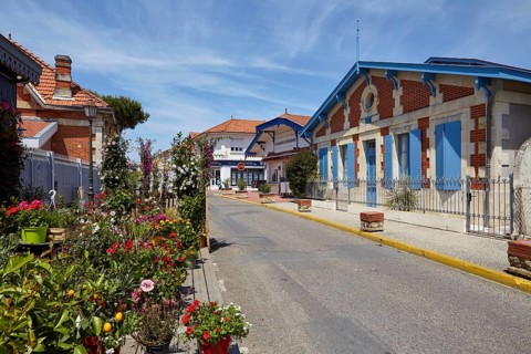 Flower shop and house with blue shutters on a street in Soulac-sur-Mer, Gironde,