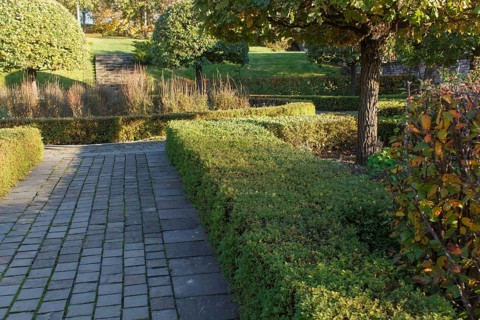 Park with green lawn, trees trimmed bushes and natural stone path in autumn. Modern landscape