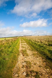 The Ridgeway long distance footpath dating from prehistory near its start on Overton Hill,