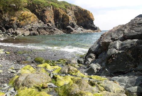 Rocky cove at Cadgwith, Lizard peninsula, Cornwall, England, UK