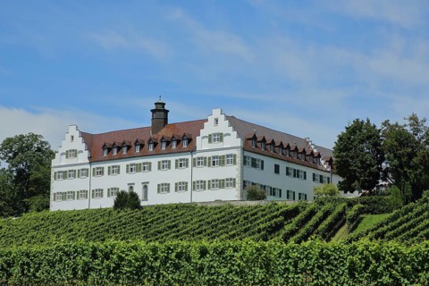 Baroque Hersberg Castle with vineyards, Immenstaad, Obersee, Lake Constance, Lake Constance region,