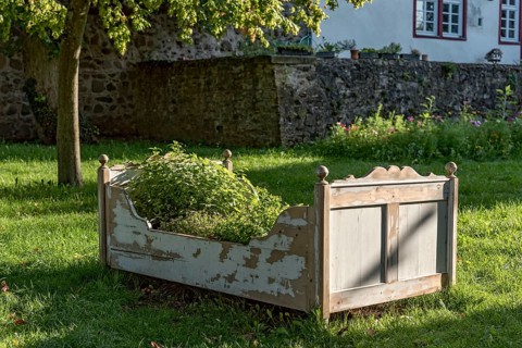 Old wooden bed as raised bed, herb garden, herbs and vegetables grown in it, garden of Friedberg